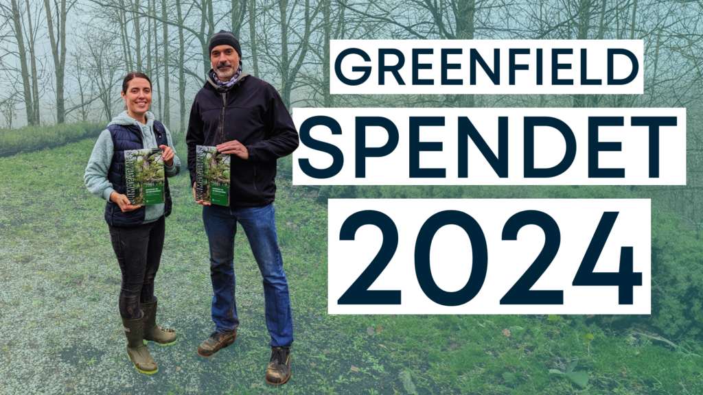 Greenfield Spenden 2024